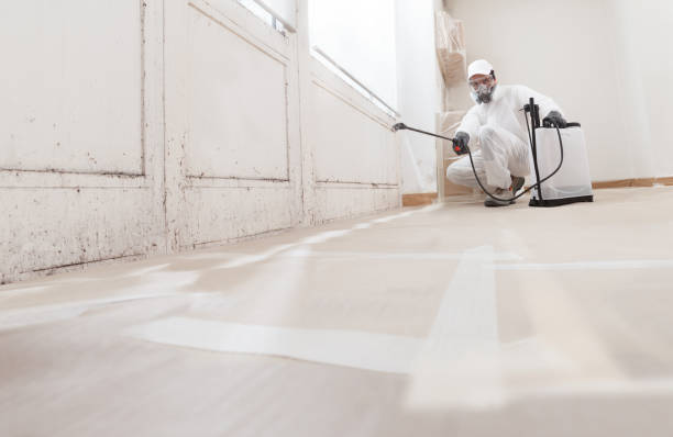 24/7 Emergency Mold Testing experts in Chester Springs, PA