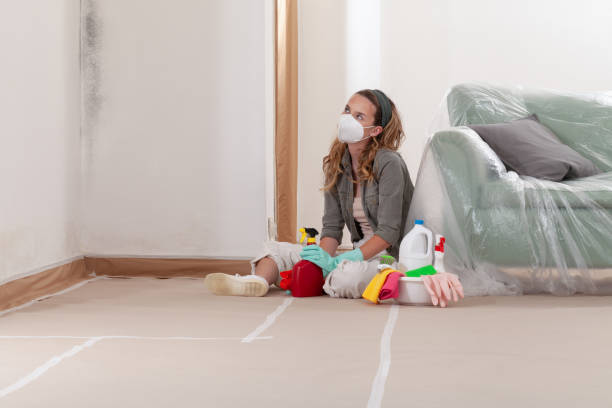 Reliable Mold Testing contractor in Chester Springs, PA by WQB Mold Removal